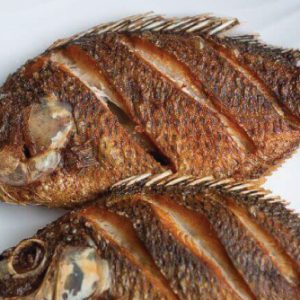 Tilapia